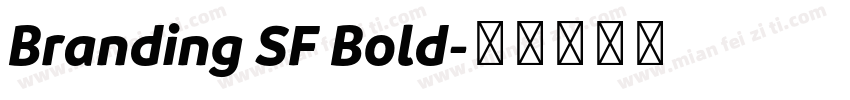 Branding SF Bold字体转换
